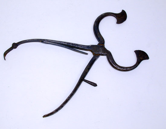 A Pair of 19th Century English Sugar Nippers