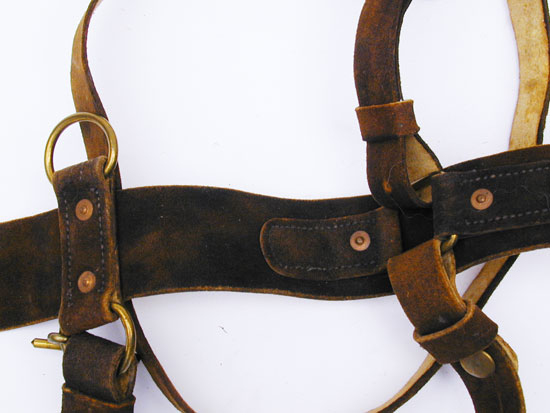 A Pattern 1851 Civil War Cavalry Buff Belt Set
