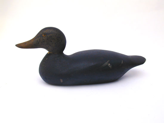 A Hays Standard Grade Black Duck Decoy