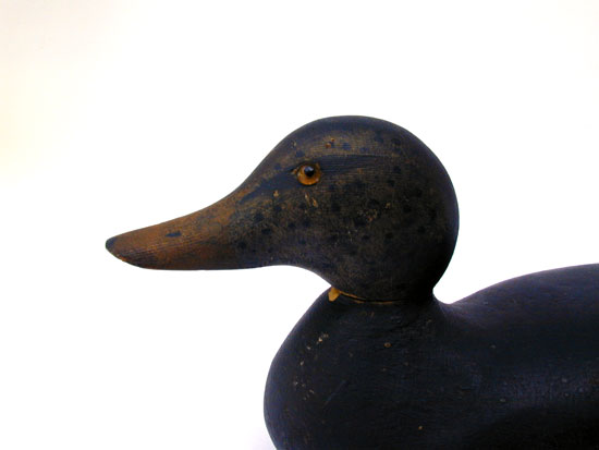 A Hays Standard Grade Black Duck Decoy