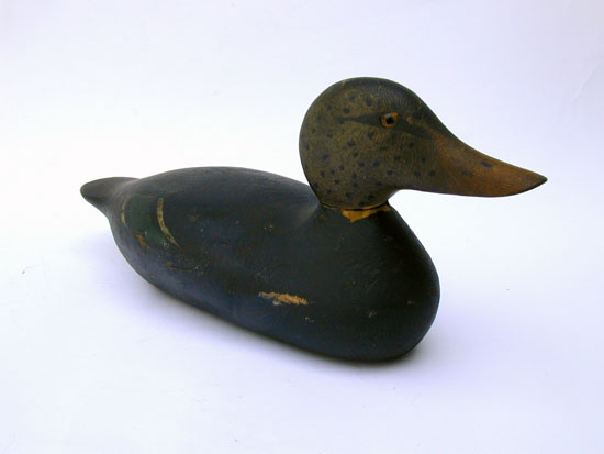 A Hays Standard Grade Black Duck Decoy